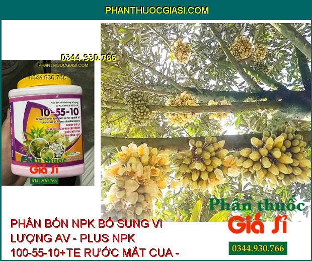 PHÂN BÓN NPK BỔ SUNG VI LƯỢNG AV - PLUS NPK 100-55-10+TE RƯỚC MẮT CUA - đánh thức mầm hoa, thúc đẩy ra hoa đồng loạt.