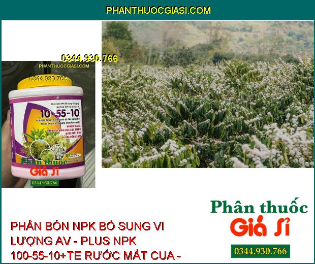 PHÂN BÓN NPK BỔ SUNG VI LƯỢNG AV - PLUS NPK 100-55-10+TE RƯỚC MẮT CUA - đánh thức mầm hoa, thúc đẩy ra hoa đồng loạt.