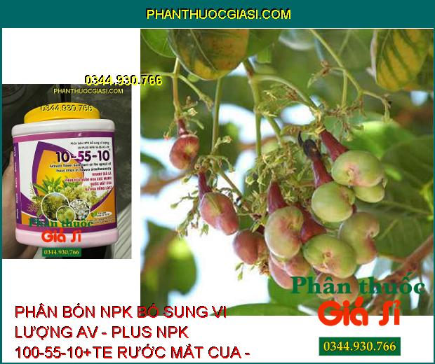 PHÂN BÓN NPK BỔ SUNG VI LƯỢNG AV - PLUS NPK 100-55-10+TE RƯỚC MẮT CUA - đánh thức mầm hoa, thúc đẩy ra hoa đồng loạt.