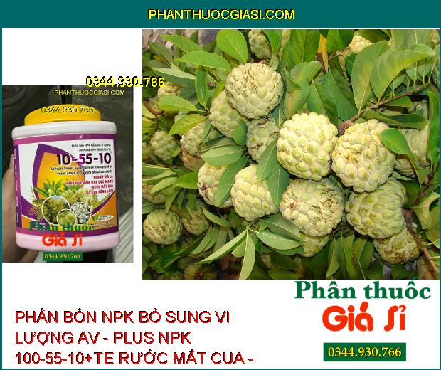 PHÂN BÓN NPK BỔ SUNG VI LƯỢNG AV - PLUS NPK 100-55-10+TE RƯỚC MẮT CUA - đánh thức mầm hoa, thúc đẩy ra hoa đồng loạt.