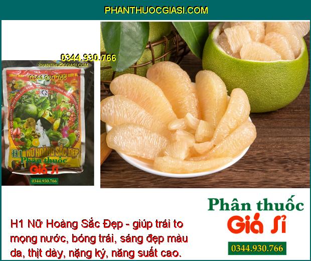 H1 Nữ Hoàng Sắc Đẹp- Phì Trái Nhanh - Màu Trái Đẹp - Mập Bông