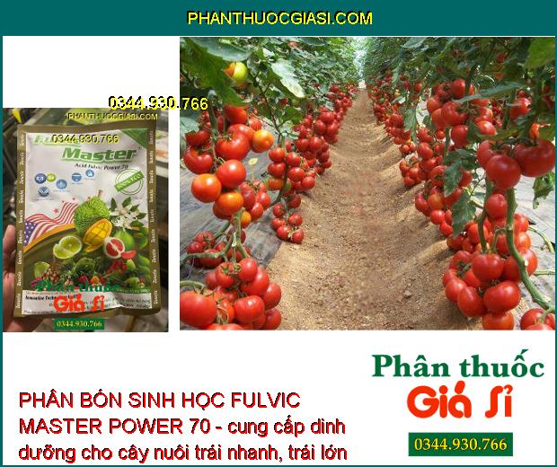 PHÂN BÓN SINH HỌC FULVIC MASTER POWER 70 - Tẩy Ghẻ - Bóng Trái - Giải Độc Cây