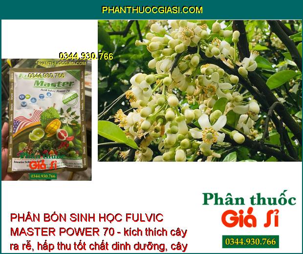 PHÂN BÓN SINH HỌC FULVIC MASTER POWER 70 - Tẩy Ghẻ - Bóng Trái - Giải Độc Cây