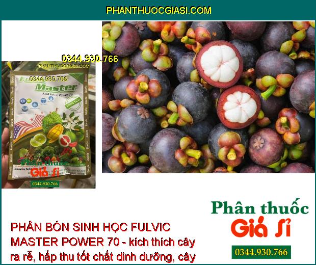 PHÂN BÓN SINH HỌC FULVIC MASTER POWER 70 - Tẩy Ghẻ - Bóng Trái - Giải Độc Cây