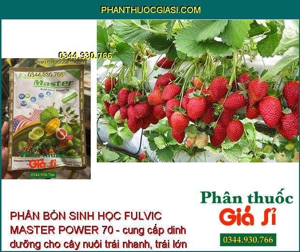 PHÂN BÓN SINH HỌC FULVIC MASTER POWER 70 - Tẩy Ghẻ - Bóng Trái - Giải Độc Cây