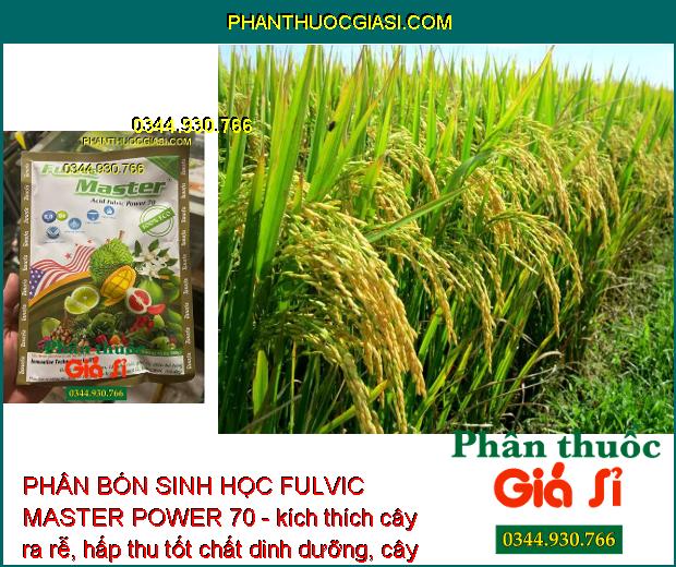 PHÂN BÓN SINH HỌC FULVIC MASTER POWER 70 - Tẩy Ghẻ - Bóng Trái - Giải Độc Cây