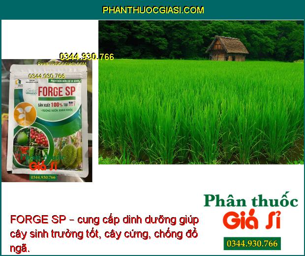 FORGE SP – PHÂN BÓN HỮU CƠ VI SINH RUỘNG VƯỜN XANH KHỎE SẢN XUẤT 100% TẠI MỸ