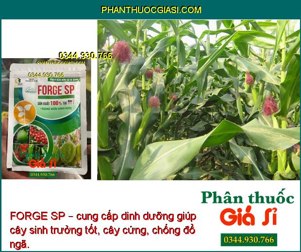 FORGE SP – PHÂN BÓN HỮU CƠ VI SINH RUỘNG VƯỜN XANH KHỎE SẢN XUẤT 100% TẠI MỸ