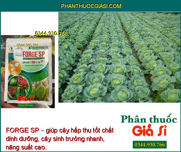 FORGE SP – PHÂN BÓN HỮU CƠ VI SINH RUỘNG VƯỜN XANH KHỎE SẢN XUẤT 100% TẠI MỸ