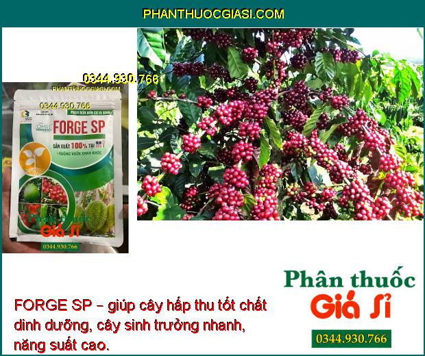 FORGE SP – PHÂN BÓN HỮU CƠ VI SINH RUỘNG VƯỜN XANH KHỎE SẢN XUẤT 100% TẠI MỸ