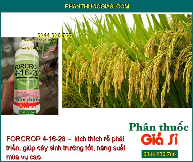 FORCROP 4-16-28 – Phân Bón Nhập Khẩu Cao Cấp – Giúp trái chín đều - nặng ký - tăng năng suất