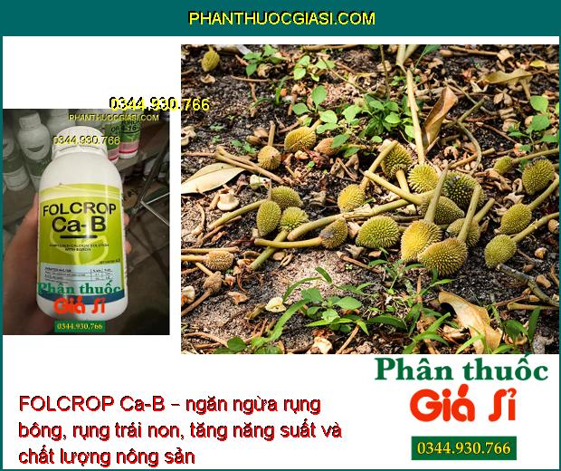 FOLCROP Ca-B – CHỐNG NỨT TRÁI - THỐI TRÁI - KHÁNG KHUẨN - KÍCH THÍCH RA HOA