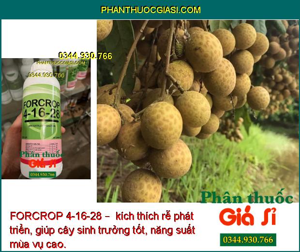 FORCROP 4-16-28 – Phân Bón Nhập Khẩu Cao Cấp – Giúp trái chín đều - nặng ký - tăng năng suất