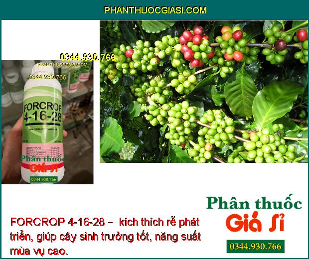 FORCROP 4-16-28 – Phân Bón Nhập Khẩu Cao Cấp – Giúp trái chín đều - nặng ký - tăng năng suất