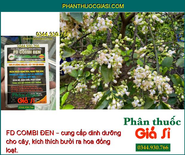 FD COMBI ĐEN – PHÂN BÓN LÁ VI LƯỢNG CẦN THIẾT CHO CÂY TRỒNG