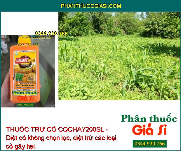 THUỐC TRỪ CỎ COCHAY200SL - Diệt cỏ không chọn lọc, diệt trừ các loại cỏ gây hại.