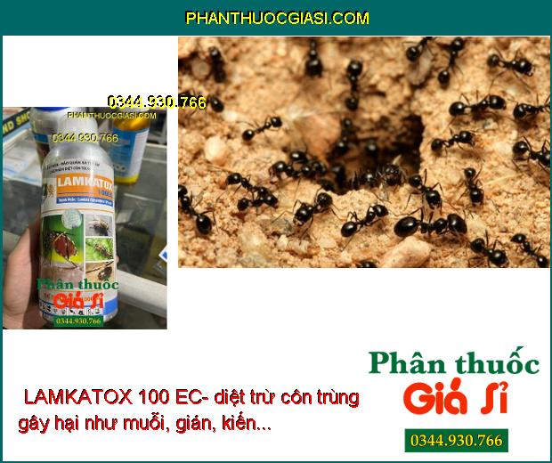 THUỐC TRỪ MUỖI - RUỒI - KIẾN - GIÁN - CÔN TRÙNG LAMKATOX 100 EC