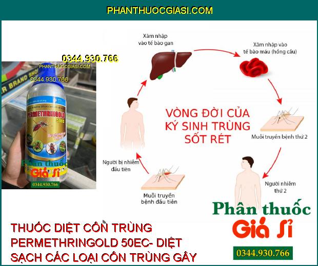 THUỐC DIỆT CÔN TRÙNG PERMETHRINGOLD 50EC- DIỆT SẠCH CÁC LOẠI CÔN TRÙNG GÂY HẠI