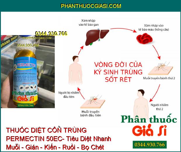 THUỐC DIỆT CÔN TRÙNG PERMECTIN 50EC- Tiêu Diệt Nhanh Muỗi - Gián - Kiến - Ruồi - Bọ Chét