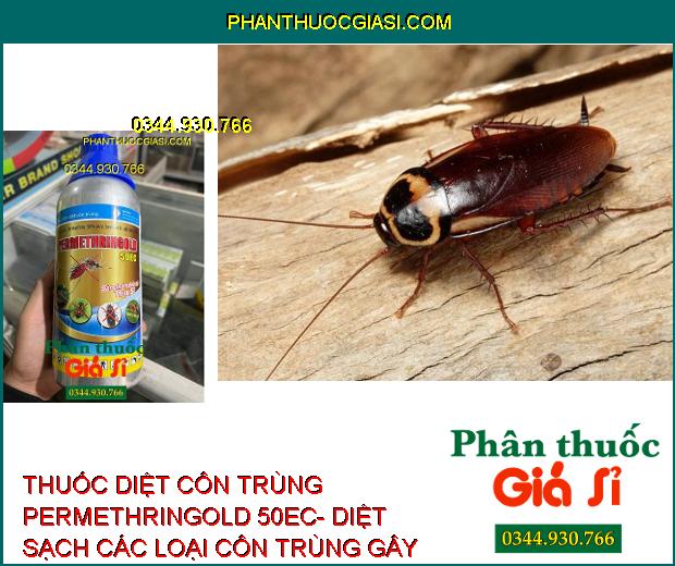 THUỐC DIỆT CÔN TRÙNG PERMETHRINGOLD 50EC- DIỆT SẠCH CÁC LOẠI CÔN TRÙNG GÂY HẠI