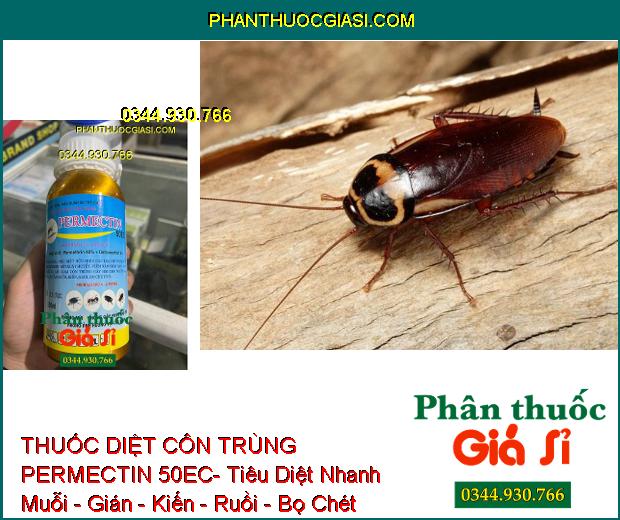 THUỐC DIỆT CÔN TRÙNG PERMECTIN 50EC- Tiêu Diệt Nhanh Muỗi - Gián - Kiến - Ruồi - Bọ Chét