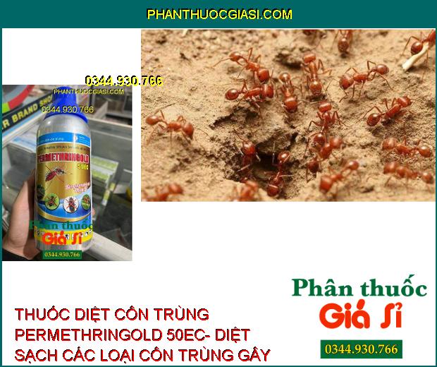 THUỐC DIỆT CÔN TRÙNG PERMETHRINGOLD 50EC- DIỆT SẠCH CÁC LOẠI CÔN TRÙNG GÂY HẠI