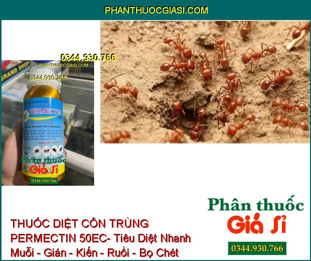 THUỐC DIỆT CÔN TRÙNG PERMECTIN 50EC- Tiêu Diệt Nhanh Muỗi - Gián - Kiến - Ruồi - Bọ Chét