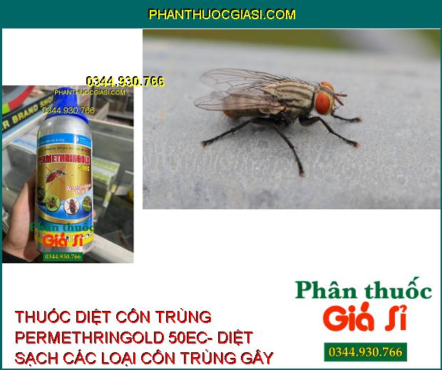 THUỐC DIỆT CÔN TRÙNG PERMETHRINGOLD 50EC- DIỆT SẠCH CÁC LOẠI CÔN TRÙNG GÂY HẠI