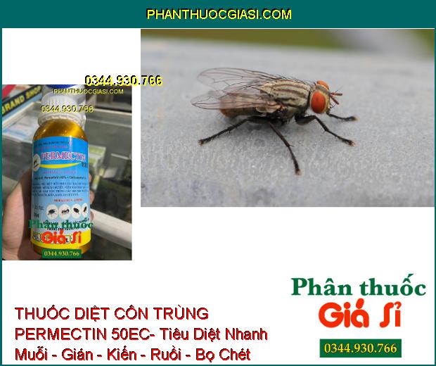 THUỐC DIỆT CÔN TRÙNG PERMECTIN 50EC- Tiêu Diệt Nhanh Muỗi - Gián - Kiến - Ruồi - Bọ Chét