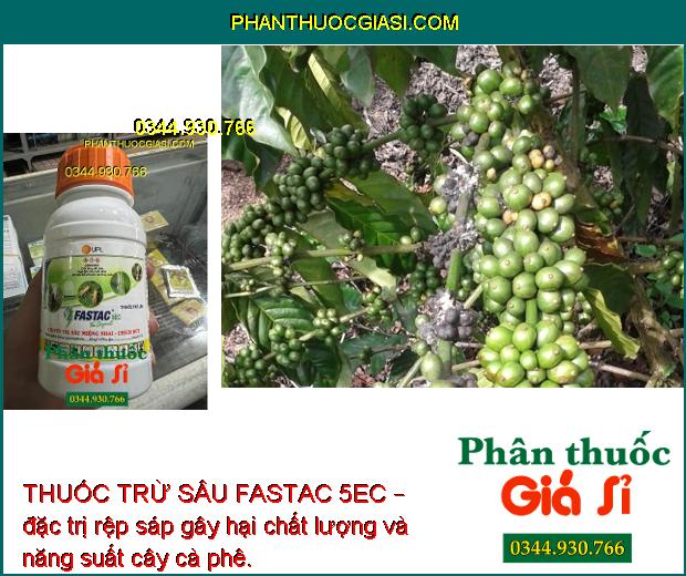 THUỐC TRỪ SÂU FASTAC 5EC – THUỐC ĐẶC TRỊ SÂU MIỆNG CHAI - CHÍCH HÚT