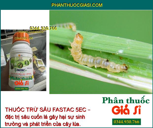 THUỐC TRỪ SÂU FASTAC 5EC – THUỐC ĐẶC TRỊ SÂU MIỆNG CHAI - CHÍCH HÚT