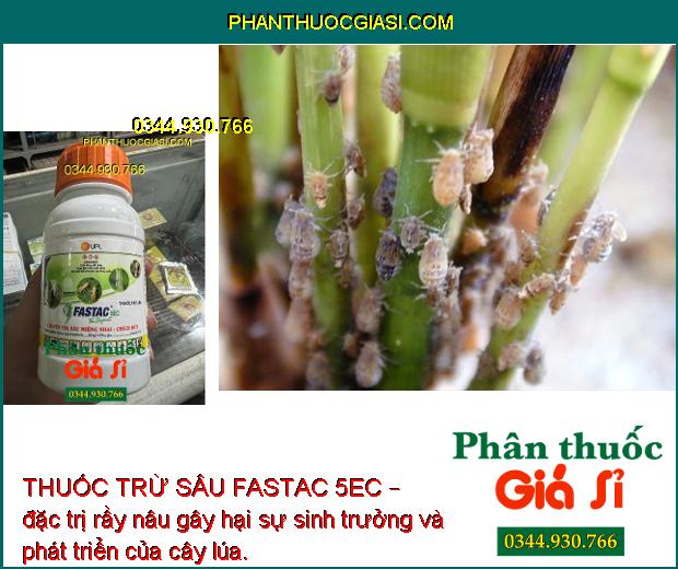 THUỐC TRỪ SÂU FASTAC 5EC – THUỐC ĐẶC TRỊ SÂU MIỆNG CHAI - CHÍCH HÚT