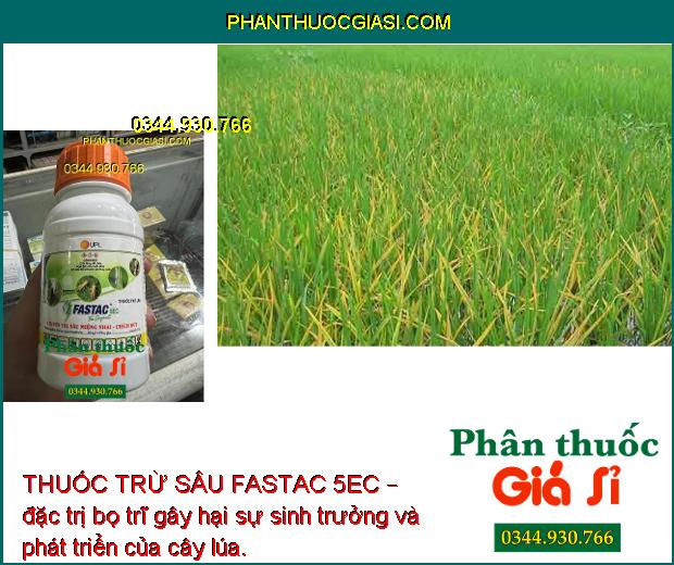 THUỐC TRỪ SÂU FASTAC 5EC – THUỐC ĐẶC TRỊ SÂU MIỆNG CHAI - CHÍCH HÚT