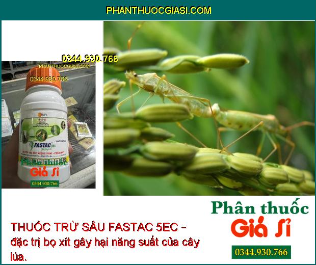 THUỐC TRỪ SÂU FASTAC 5EC – THUỐC ĐẶC TRỊ SÂU MIỆNG CHAI - CHÍCH HÚT