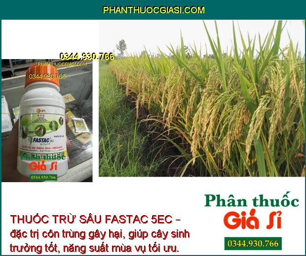 THUỐC TRỪ SÂU FASTAC 5EC – THUỐC ĐẶC TRỊ SÂU MIỆNG CHAI - CHÍCH HÚT