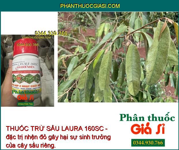 THUỐC TRỪ SÂU LAURA 160SC- DIỆT SẠCH NHỆN ĐỎ - NHỆN VÀNG - NHỆN TRẮNG