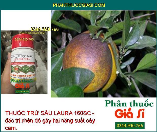 THUỐC TRỪ SÂU LAURA 160SC- DIỆT SẠCH NHỆN ĐỎ - NHỆN VÀNG - NHỆN TRẮNG