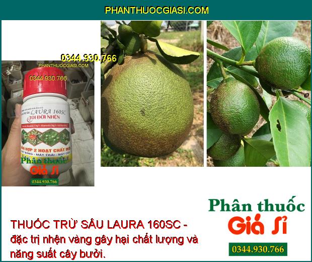 THUỐC TRỪ SÂU LAURA 160SC- DIỆT SẠCH NHỆN ĐỎ - NHỆN VÀNG - NHỆN TRẮNG