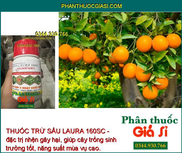 THUỐC TRỪ SÂU LAURA 160SC- DIỆT SẠCH NHỆN ĐỎ - NHỆN VÀNG - NHỆN TRẮNG