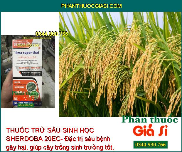 THUỐC TRỪ SÂU SINH HỌC SHERDOBA 20EC- DIỆT SẠCH SÂU-MÁT CÂY