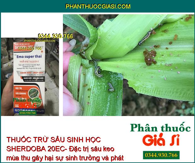 THUỐC TRỪ SÂU SINH HỌC SHERDOBA 20EC- DIỆT SẠCH SÂU-MÁT CÂY