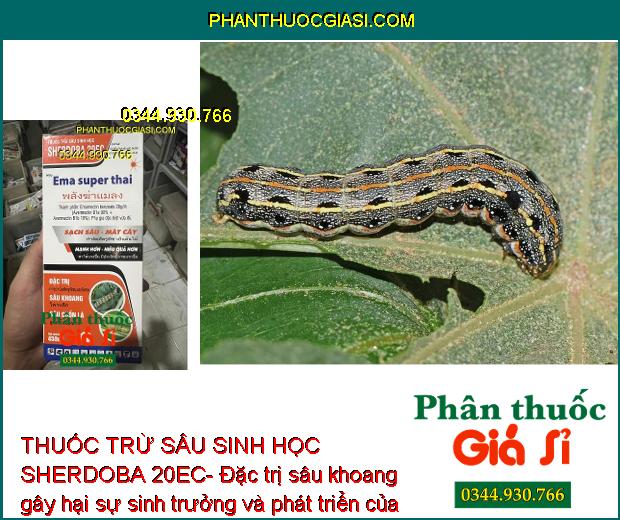 THUỐC TRỪ SÂU SINH HỌC SHERDOBA 20EC- DIỆT SẠCH SÂU-MÁT CÂY