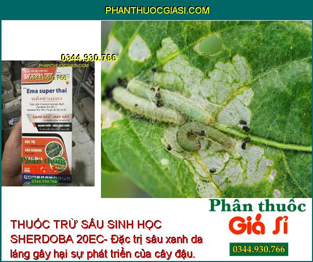 THUỐC TRỪ SÂU SINH HỌC SHERDOBA 20EC- DIỆT SẠCH SÂU-MÁT CÂY