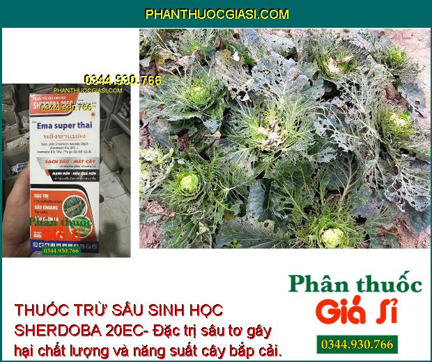 THUỐC TRỪ SÂU SINH HỌC SHERDOBA 20EC- DIỆT SẠCH SÂU-MÁT CÂY