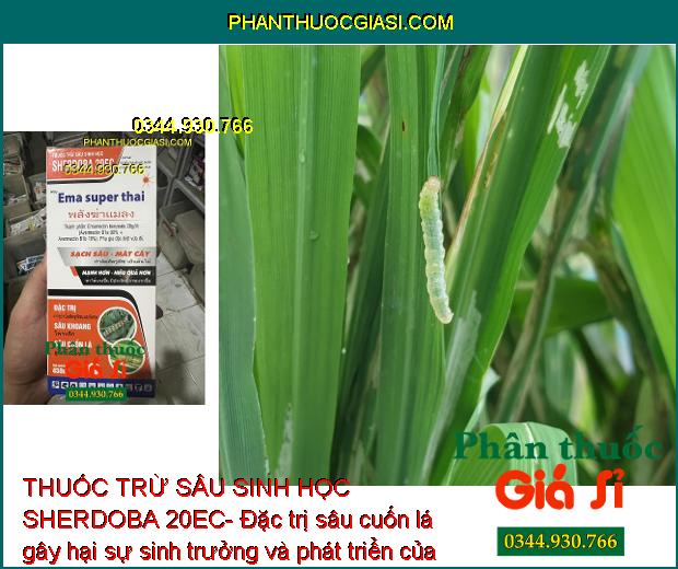 THUỐC TRỪ SÂU SINH HỌC SHERDOBA 20EC- DIỆT SẠCH SÂU-MÁT CÂY