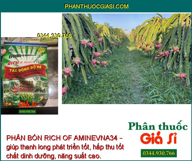 PHÂN BÓN RICH OF AMINEVNA34 – KÍCH THÍCH TĂNG TRƯỞNG - NGĂN NGỪA NẤM BỆNH