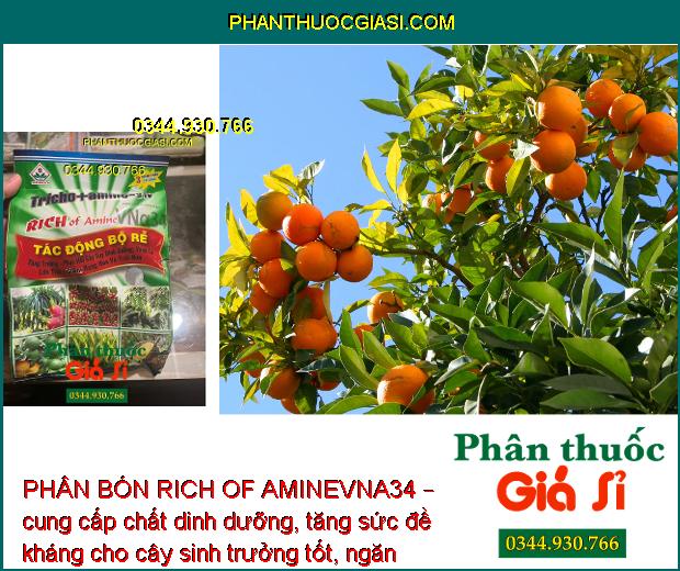 PHÂN BÓN RICH OF AMINEVNA34 – KÍCH THÍCH TĂNG TRƯỞNG - NGĂN NGỪA NẤM BỆNH