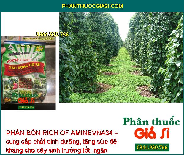 PHÂN BÓN RICH OF AMINEVNA34 – KÍCH THÍCH TĂNG TRƯỞNG - NGĂN NGỪA NẤM BỆNH