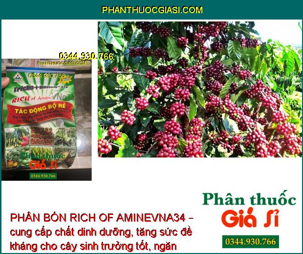 PHÂN BÓN RICH OF AMINEVNA34 – KÍCH THÍCH TĂNG TRƯỞNG - NGĂN NGỪA NẤM BỆNH