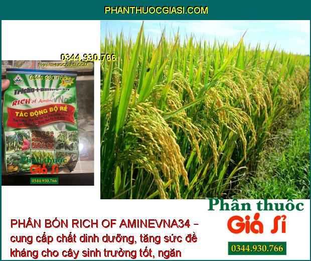 PHÂN BÓN RICH OF AMINEVNA34 – KÍCH THÍCH TĂNG TRƯỞNG - NGĂN NGỪA NẤM BỆNH